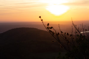 Ölberg-Sonnenuntergang über Bonn