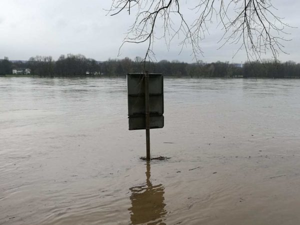 Rhein bei Hochwasser