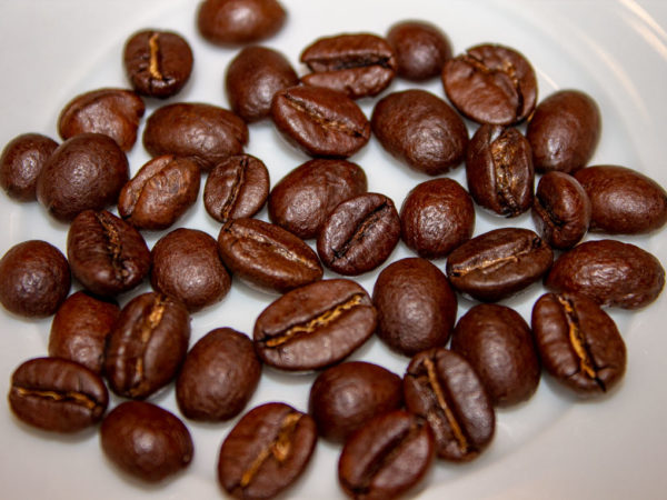 Kaffee Siebengebirge Bohnen