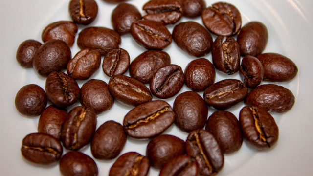 Kaffee Siebengebirge Bohnen